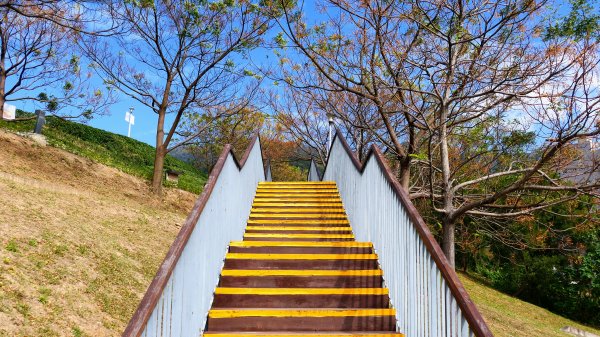 三層崎的呢喃2692126