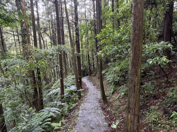 [皮皮獅動物派對-04/10] 2026_0823 騎龍古道3121537