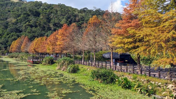 望龍埤,鎮頭山,蜊埤湖2391877