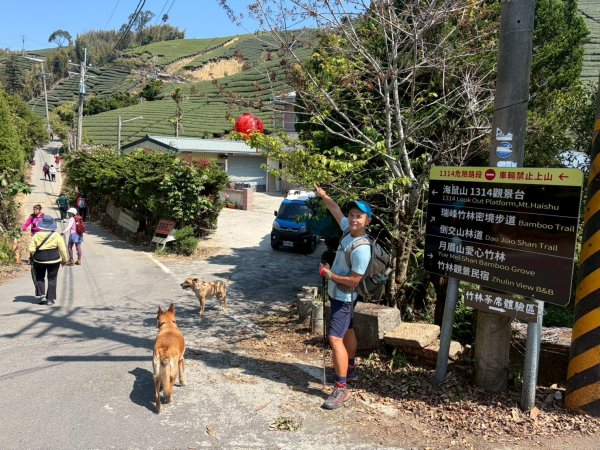 鼠眉毛縱走+進學古道+野薑花步道【戀上紫色山城的浪漫魅力】3042546