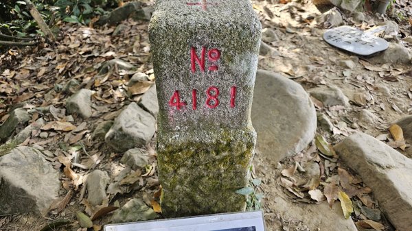 暗影山三進三出2366541