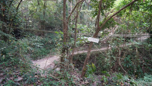 小百岳集起來_笠頂山登山步道2368358