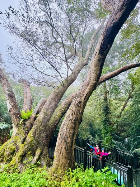 獅山 六寮古道 獅頭獅尾走一圈2992421