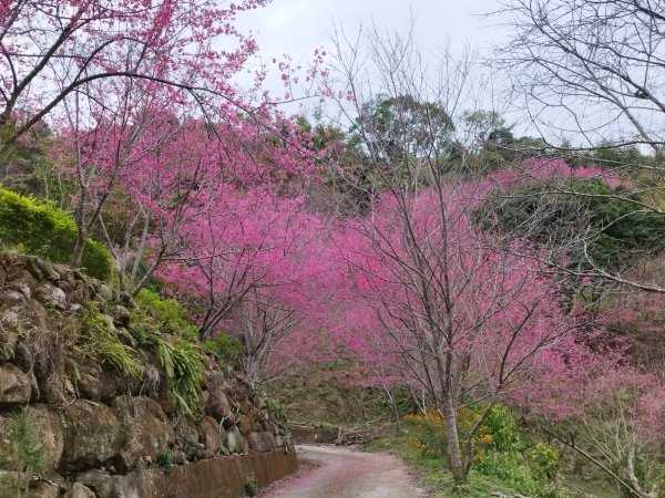 [苗栗銅鑼][三]雞隆山、長潭坑山、中心埔