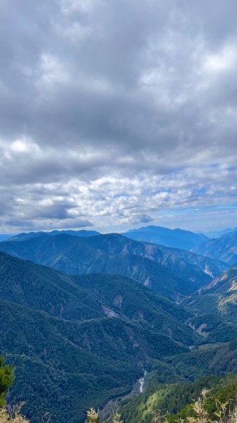 20250122 三角貓🐱遊玉山前峰玩瘋了🌀2698281