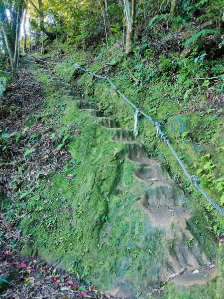 二格山、筆架山南北峰、炙子頭山2164327