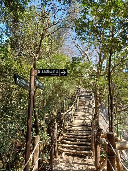 【台中北屯】稜線好風景。 大坑3號登山步道x台灣五葉松2055615