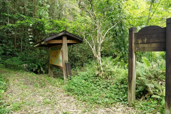 新竹 竹東 上坪山、五指山2541688