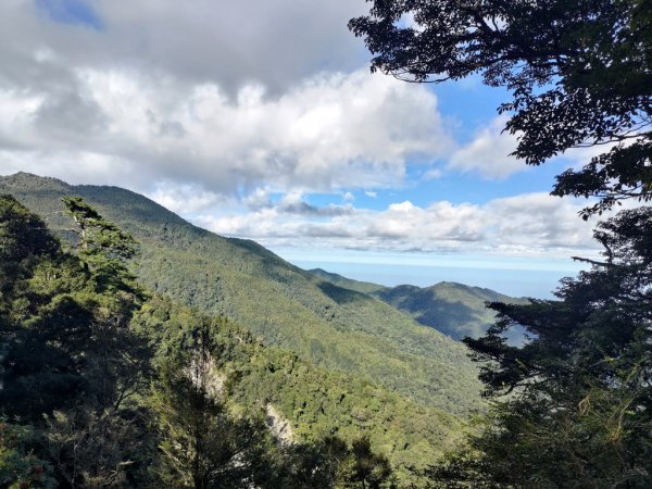 【新竹縣五峰鄉】檜山巨木森林步道2833694