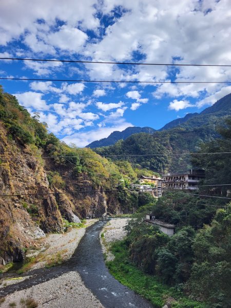 2025.11.30 谷關七雄 No.4 波津加山，不給休的蜂2952119