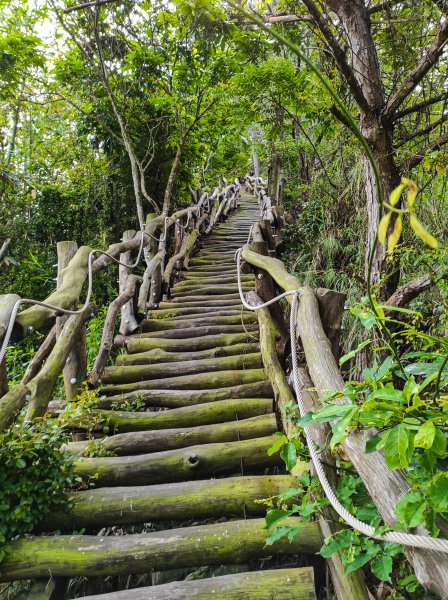 大坑3號登山步道1684733