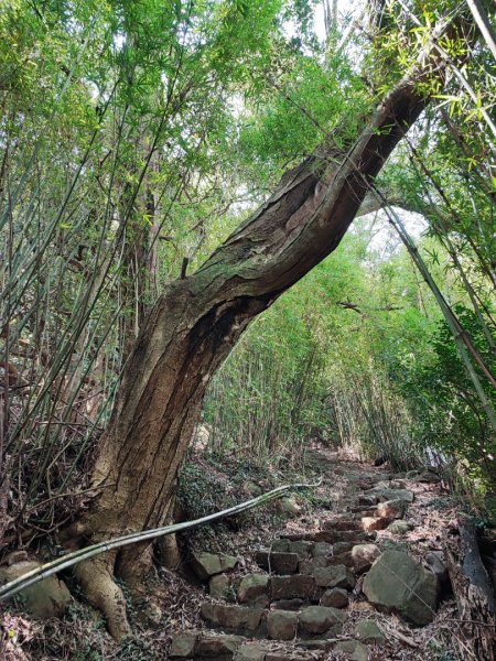 中正山- 走遍陽明山尋寶任務2250403