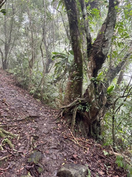 90號小百岳月眉山2179936