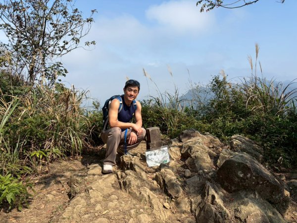 桃園 大溪 頭寮山3004512