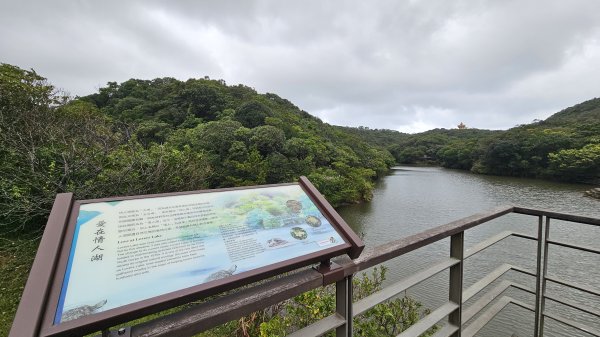 【挑一間北濱文旅，走一座基隆小百岳，吃一頓八斗子好料】解鎖第54座小百岳#003大武崙山O繞2925326