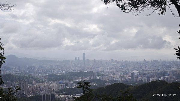 20251109 士林站到大湖站(福山宮_腰繞_燕溪古道_翠山步道_龍船岩_大溝溪)2932367