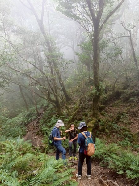 魔幻森林-塔曼山-202508102866576