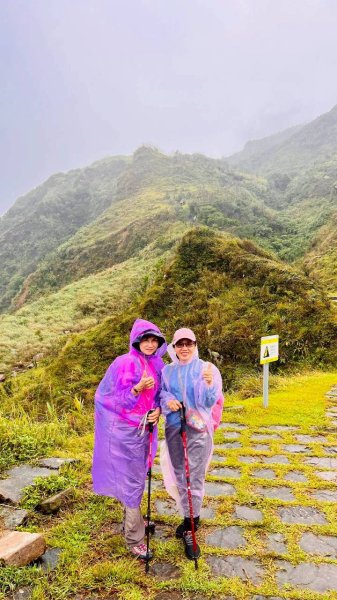 🌈11/2草嶺古道~桃源谷~灣坑頭山~大里天公廟✨FB：熊熊趴爬走🌈2928850