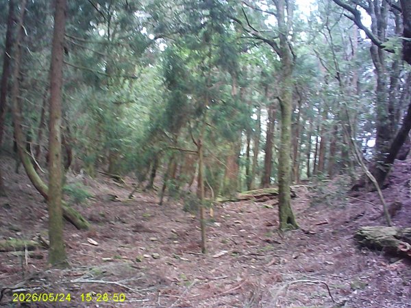 台21號公路的同富(埔沙)山3061854