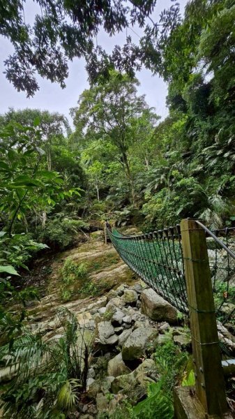 20250918達娜伊谷生態公園走巨石板步道🪨2890197