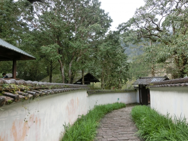 棲蘭山莊．神木園．明池93586