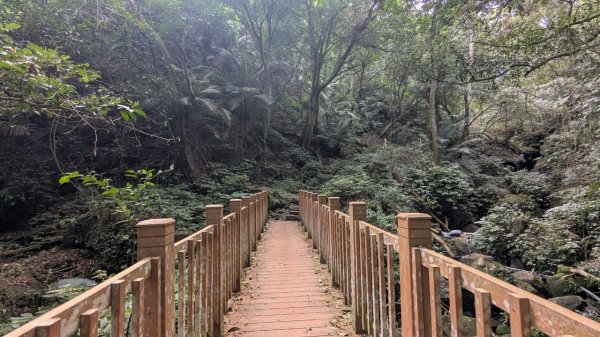 鳴鳳古道封面