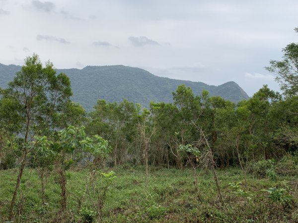 20250404屏東北獅子頭山-霧里乙山2757468
