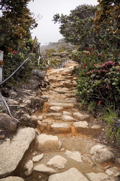 馬來西亞 京那巴魯山 Gunung Kinabalu2756357