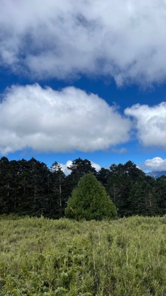 北二段之閂山鈴鳴山2607350