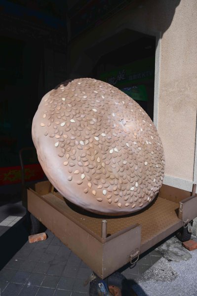 20250609基隆十八傘人家族(18.10沒收集到)2807529