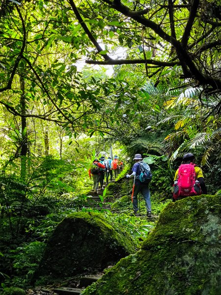 2025-06-15 銀河洞越嶺登山步道2816181