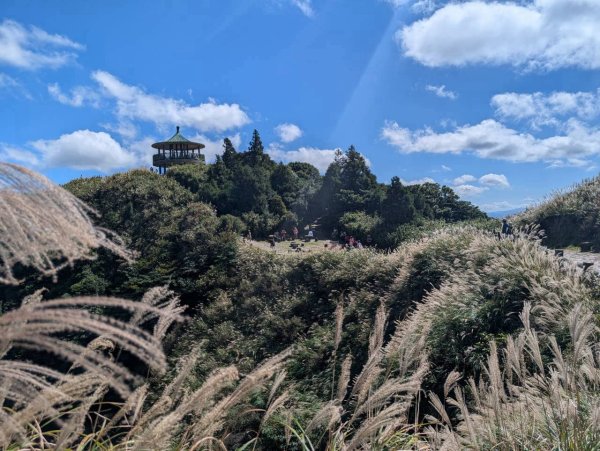 🌈10/18（日）七星山（小油坑-冷水坑）×擎天崗大草原FB：熊熊趴爬走(富裕登山社)🌈