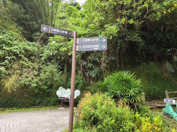 [百山百鳥尋旅-08/15] 2025_0831 大坑1號步道2876182