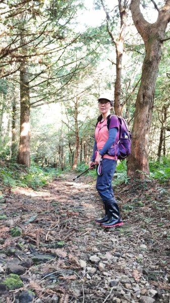 貴妃那結P 型縱走11310122621959