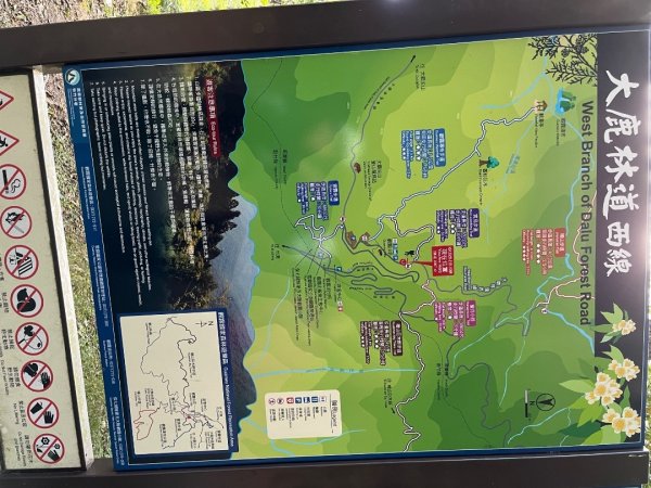 20231127_觀霧榛山步道（森遊竹縣）2763089