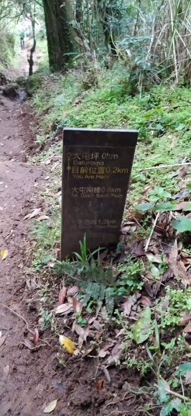 臺北大縱走第二段（2）1309706