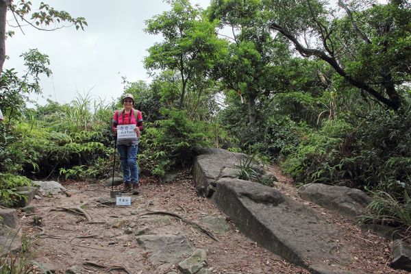 奇岩山.唭哩岸山.軍艦岩.丹鳳山七峰O型405533