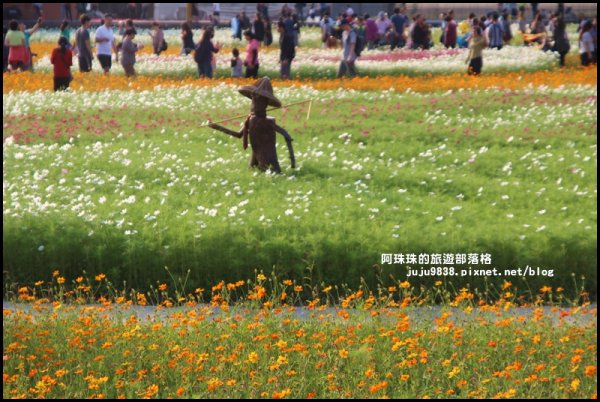 2019桃園花彩節大溪展區繽紛登場734509