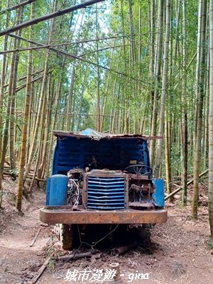 【台中和平】山林野餐。長壽山(肥崠山)山徑2969445