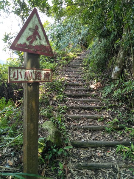 馬拉邦山春走環線611847