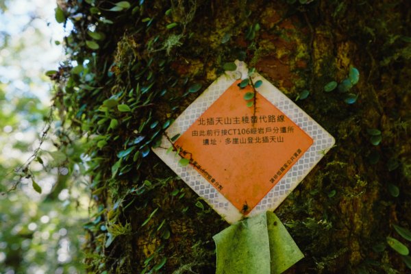 桃園復興區 處暑‧北插天山岩戶線2868418