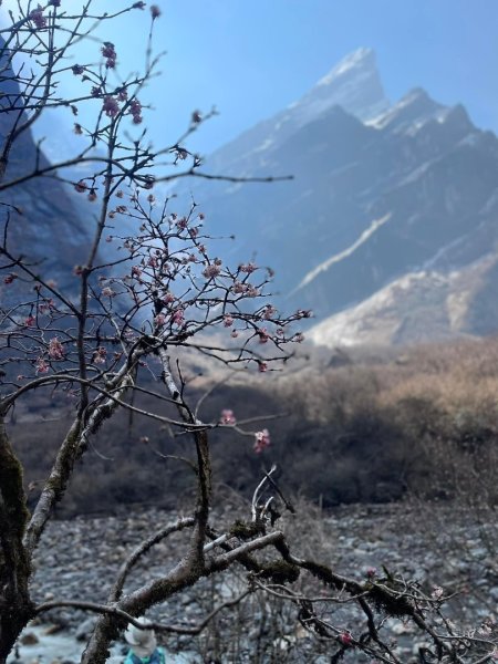 尼泊爾安納普娜ABC基地營健行2500986