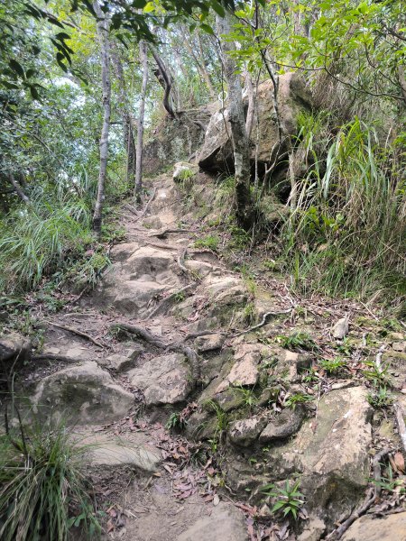 20251010微笑山線：【五分山系】菁桐煤礦段2910201