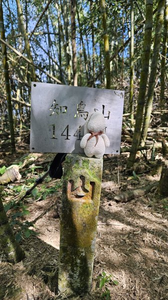 【四大天王山O型縱走未竟之旅：封山中的靜謐與省思】解鎖嘉義竹崎四大天王山、知鳥山。2929898