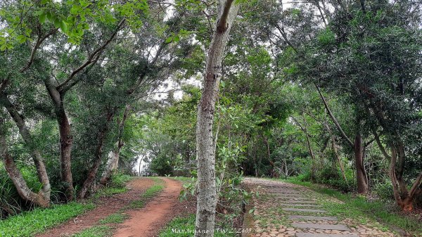 《台中》新觀景台｜竹坑南寮登山步道(南寮端起登)202405012493220