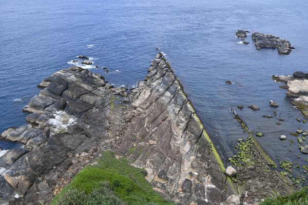 野柳岬山步道1393075