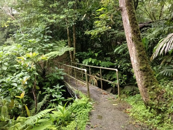 平溪區善覺寺古道(步道)去回2855357