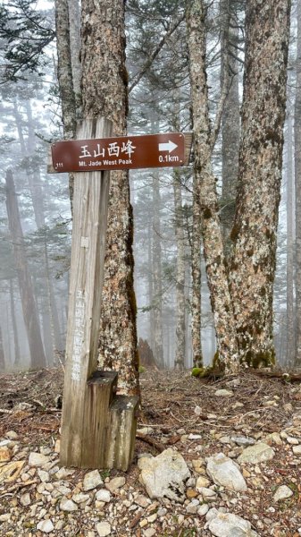 東埔-排雲-玉山西峰-玉山主峰2753198