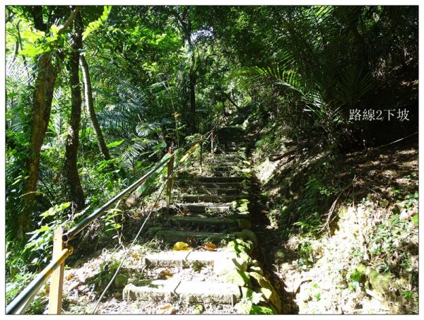 大坑/觀音山(小百岳)632378