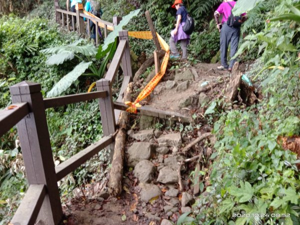 步道巡訪員 l 崁頭山步道巡訪員10月份巡禮1141566